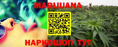 гидропоника Будённовск