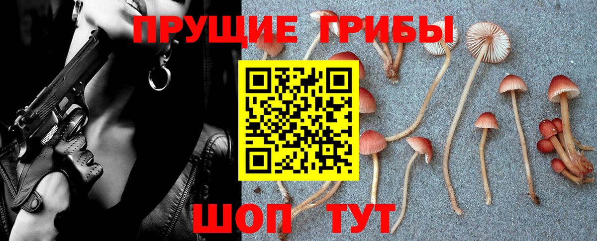 Псилоцибиновые грибы Magic Shrooms Комсомольск-на-Амуре