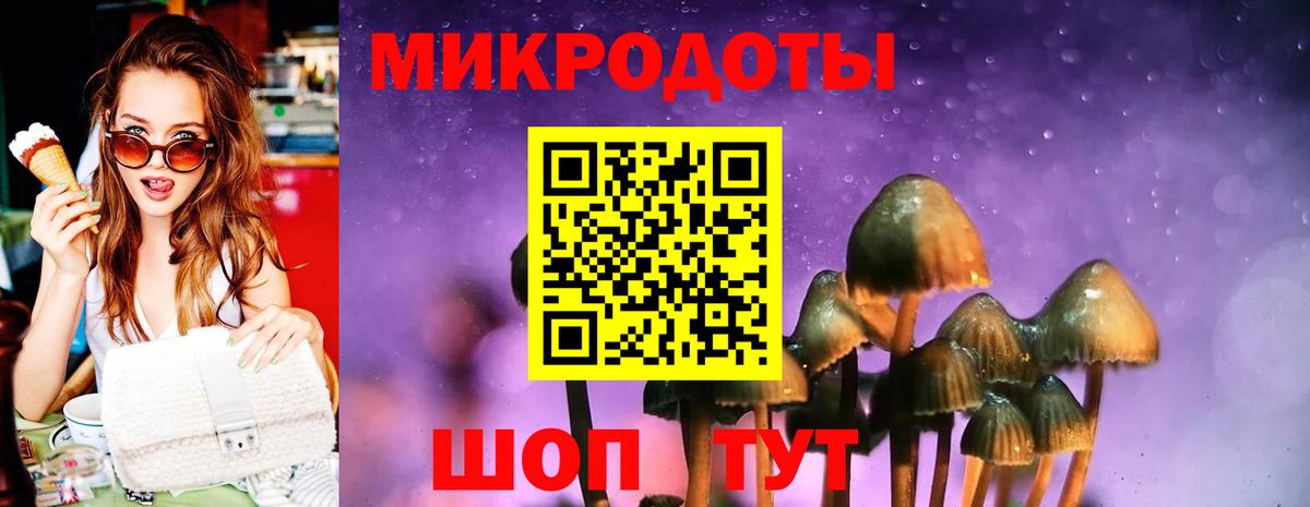 Псилоцибиновые грибы Cubensis  Псилоцибиновые грибы Cubensis  Вход с VPN  Комсомольск-на-Амуре 