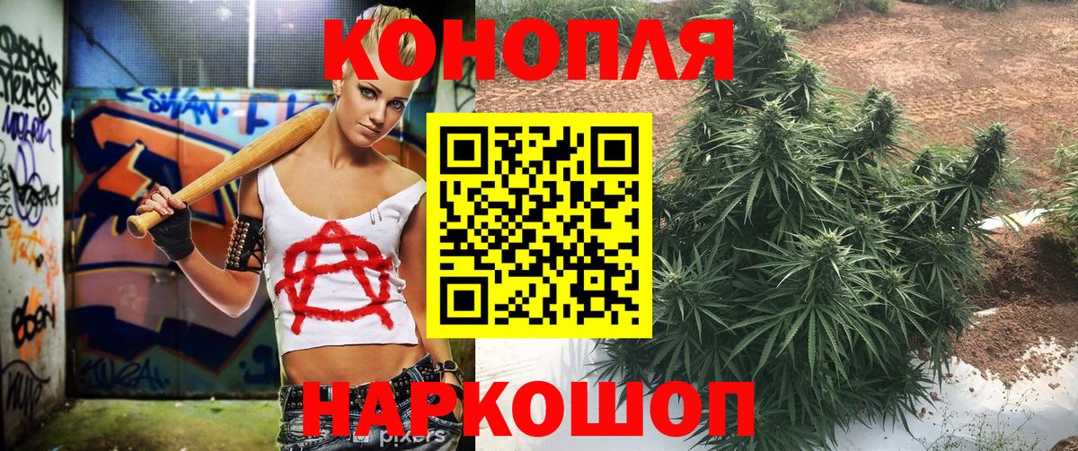 Бошки марихуана гибрид  Вход с VPN  Комсомольск-на-Амуре  Канабис AK-47 